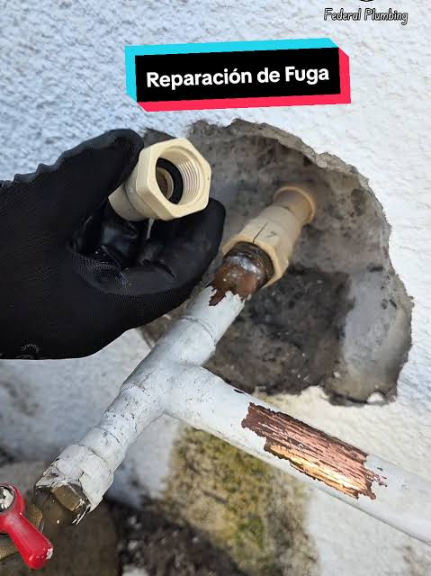 Arreglo de griferías